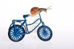 4912917-gracioso-caracol-tratando-alternativa-de-transporte-en-bicicleta.jpg