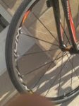colnago 7.jpg