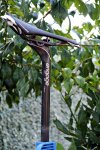 DSC_1161.jpg