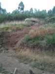 IMG_20130920_192941.jpg