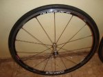 dsc01294wf.jpg