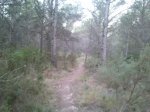 2013-09-22 07.45.42.jpg