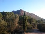 2013-09-22 08.35.39.jpg