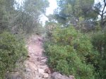 2013-09-22 08.41.36.jpg
