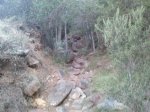 2013-09-22 08.47.00.jpg