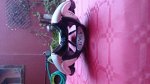 rps20130922_190623.jpg