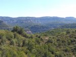 DSC04944.JPG