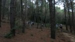 resized_IMG_3110.jpg