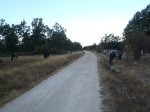 P9180002 (Copiar).JPG