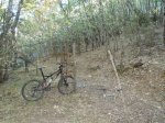 P9180013 (Copiar).JPG
