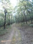 P9180014 (Copiar).JPG