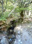 P9180025 (Copiar).JPG