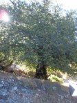 P9180027 (Copiar).JPG