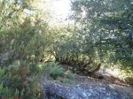 P9180028 (Copiar).JPG