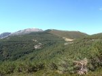P9180031 (Copiar).JPG