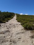 P9180033 (Copiar).JPG