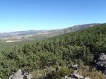 P9180041 (Copiar).JPG