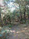 P9180045 (Copiar).JPG