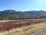 P9180046 (Copiar).JPG