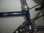 pinnarello (1).JPG