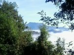 2013-09-22 10.03.12.jpg