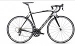 specialized.jpg