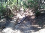 2013-09-23 10.38.33.jpg