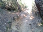 2013-09-23 10.30.51.jpg