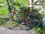 cannondale.jpg