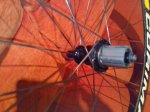 IMG_20130922_205536.jpg