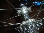DSC00236.JPG