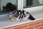 Zapas NW 2.JPG
