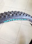 Maxxis.jpg