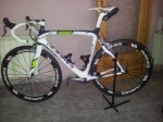 pinarello.jpg