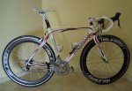 resized_bici pina.jpg