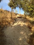 IMG_1303.JPG