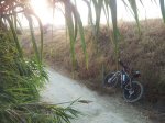 IMG_20130924_193154.jpg