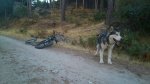 uploadfromtaptalk1380095750931.jpg
