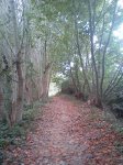 DSC00635.jpg
