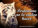 Perdoname.jpg