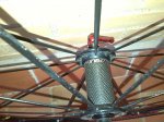 IMG_20130926_081315.jpg