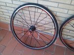 IMG_20130926_081338.jpg