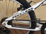Kona 4.jpg
