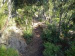 camins2.jpg