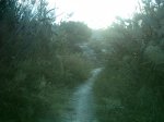 CHIQUI RUTA A 012.JPG