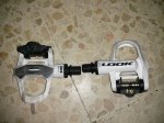 IMG_20130924_225329.jpg