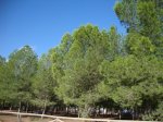 DSC00554.JPG