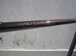 img4991cc.jpg