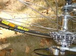 DSC08840.JPG