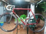 COLNAGO1.jpg